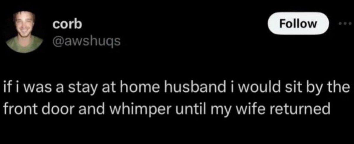 madslines's tweet photo. Don’t listen to the alpha male podcasts. This is what peak masculinity actually looks like https://t.co/nxAX7WbRVX