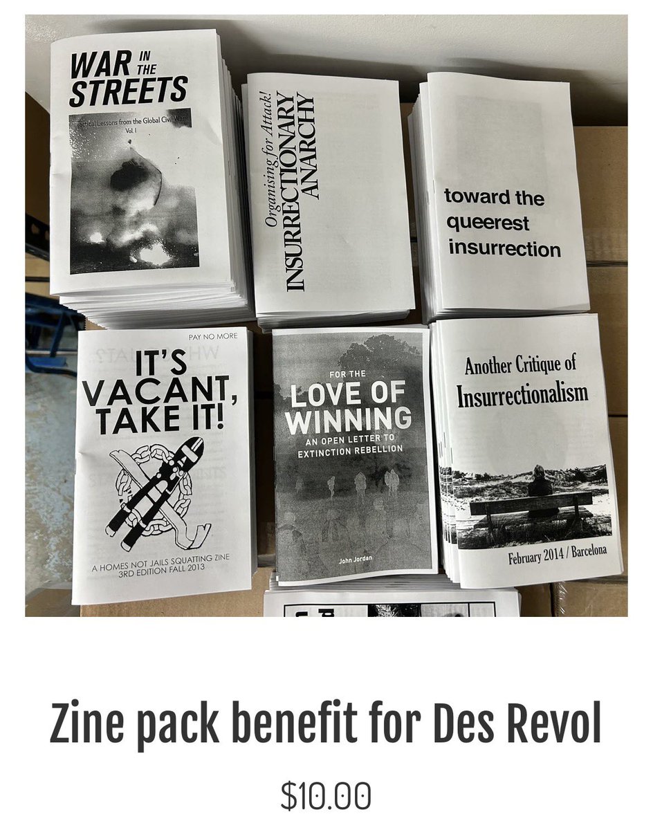 We can’t say whether or not reading, or merely possessing, these zines is a threat to the government. *That’s up to you.*

detritusbooks.com/des