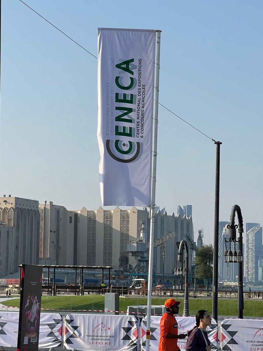 Jérôme Despey tweet media