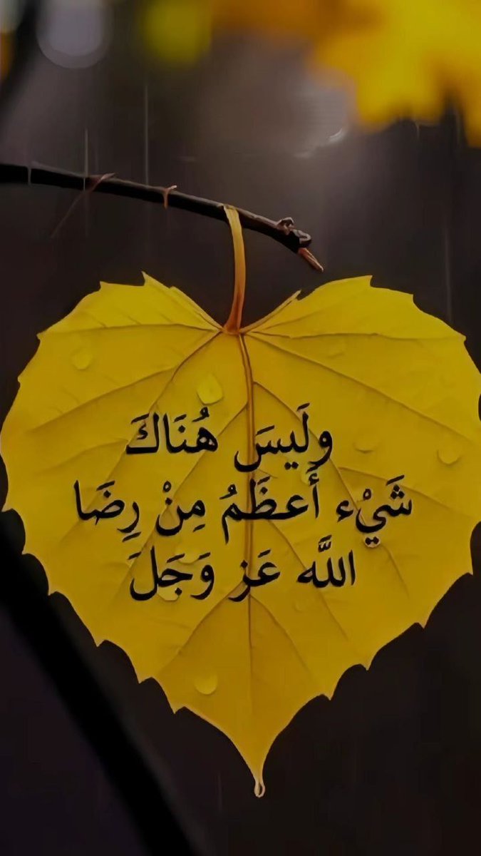 <a href="/abwmhmdalzanya2/">ابو محمد العزاني العزاني</a> <a href="/N25_11O/">د.احمد البابلي</a> <a href="/Ahmed_Aboshhab/">أّحًمًدٍ🇮🇶_آلبــصـرآوي🇮🇶</a> <a href="/Ahlam04900191/">Ahlam</a> <a href="/WalidEl3etr73/">𓉡 وليـــــد العــــتر 𓉡</a> <a href="/HHAA__99/">هــــــــ⛰️ــــــرم مصــــ🇪🇬ــــر الرابع</a> <a href="/sinabebosofy/">Eng.Ahmed</a> <a href="/N1_0n0/">Eng:🐝Na7ola:{ نهوله 🐝</a> <a href="/ksabb503/">bandar</a> <a href="/Manasataliraq33/">{مَنَصَةُ الْعرَاْقْ}</a> <a href="/M0o45h/">الشامخ اليماني</a> <a href="/laaldlymy14/">علاء الدليمي</a> <a href="/vkjha783/">Vinod Kumar Jha</a> 🌺🤴🌺
جزاك الله خيرآ 🤲 

#قروبات_البابلي_للاضافات #دعم_مزوون 
#大河べらぼう
#lando