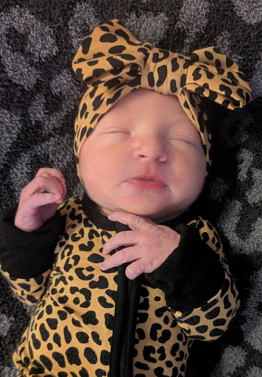 Cody Sarensen tweet media