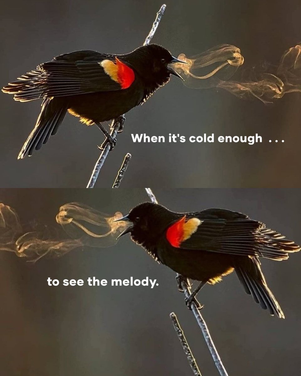 ★ (@thematrixwizard) on Twitter photo 