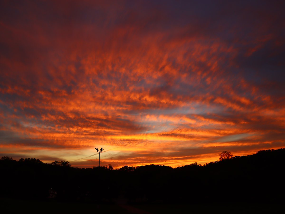 Friends of Wolf Trap National Park tweet media