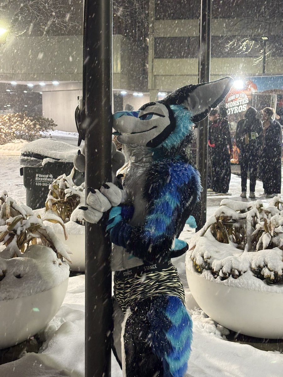 Razz/Reef 🦈🦊 🔜 MFF tweet media