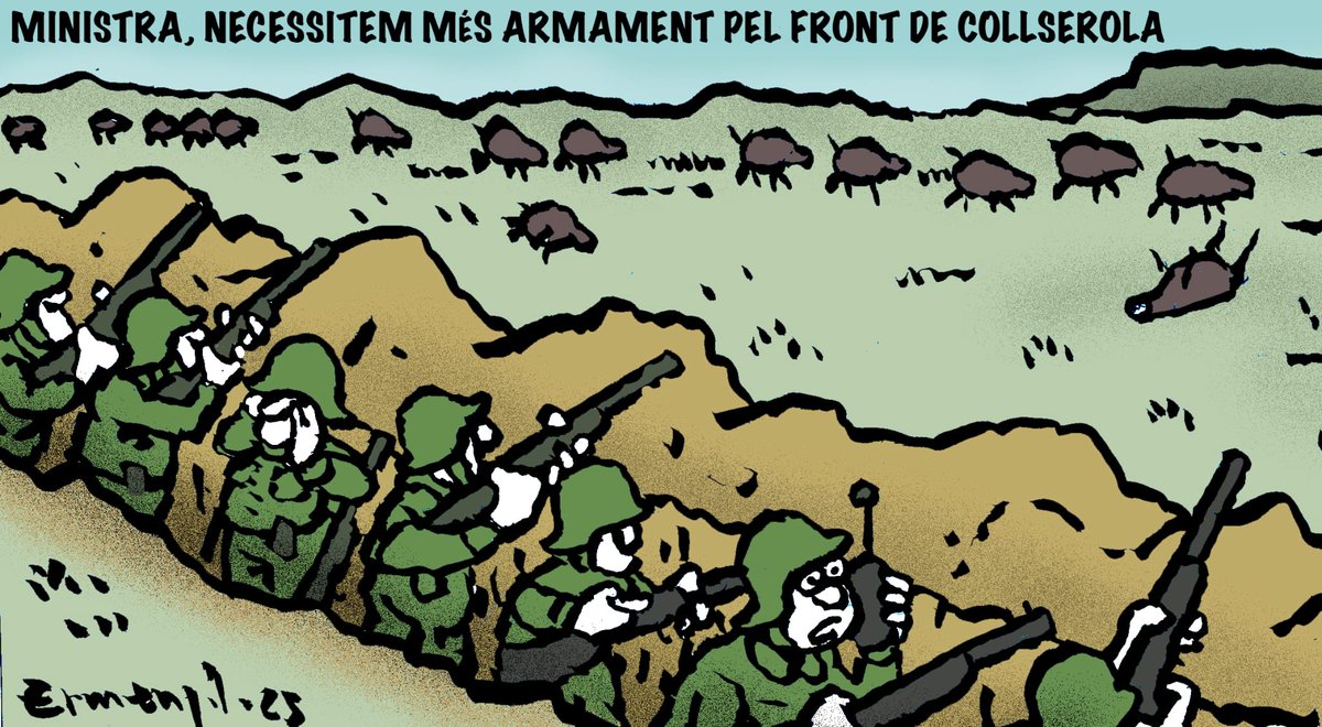 ermengoltolsa's tweet image. La Mañana 8-12-25