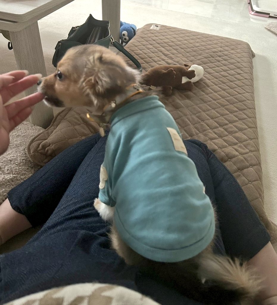 ぽん太の最新画像 今日ペットショップで、エサやりの時間が始まっても