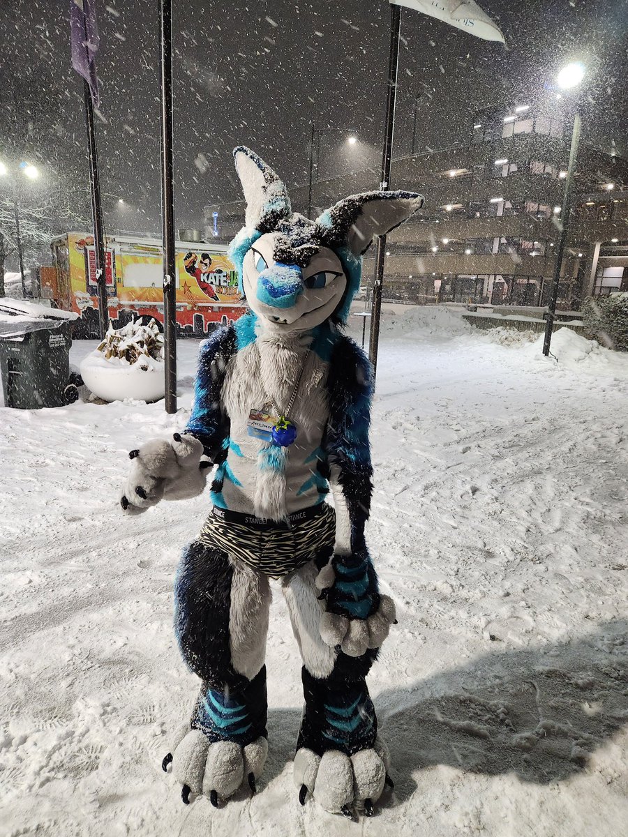 Razz/Reef 🦈🦊 🔜 MFF tweet media