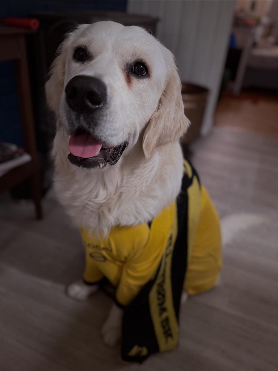 I dag ble det alternativt regndekken på Nemo i anledning 1.dag cupmester. 💛🖤