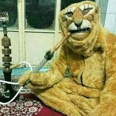 اصن باورم نمیشه این همه تغذیه سالم این همه ورزش 
بعد رفتم سونو میگه pco داری 
من 👀👀