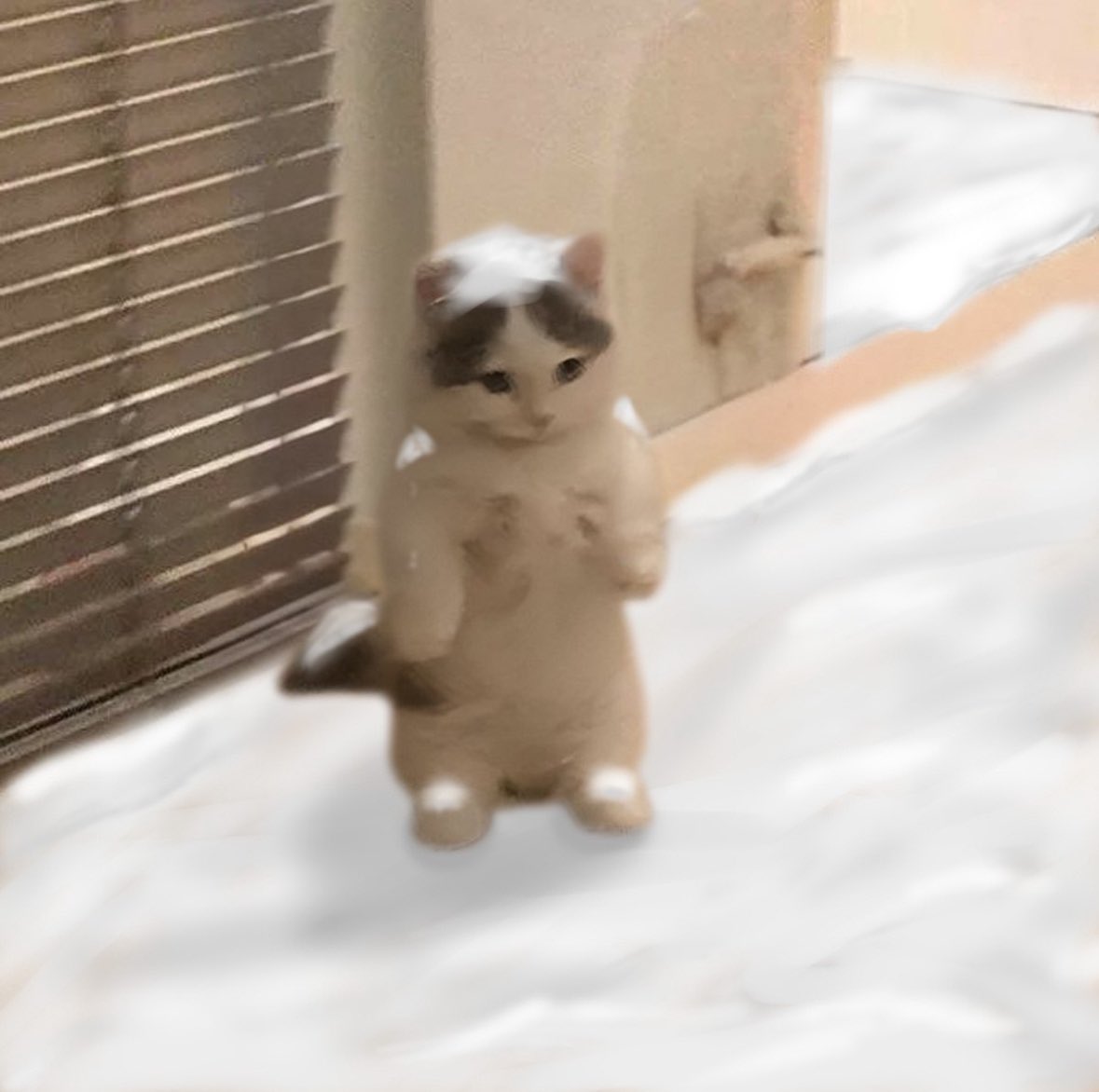 michi (@michionsolana) on Twitter photo 