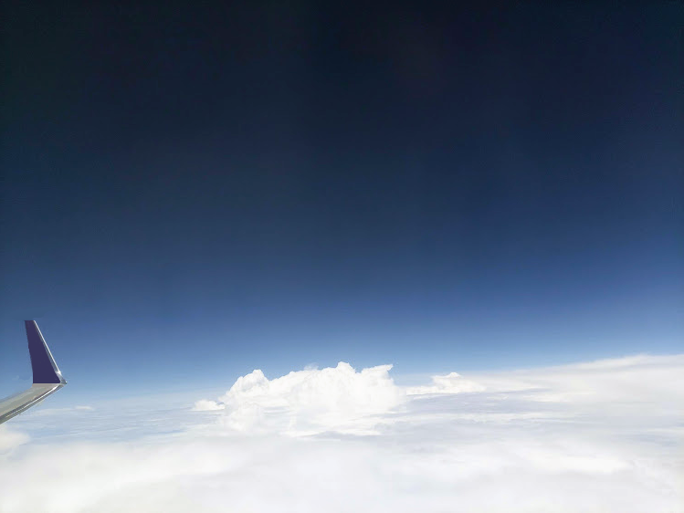 Carlos Flores Acosta tweet media