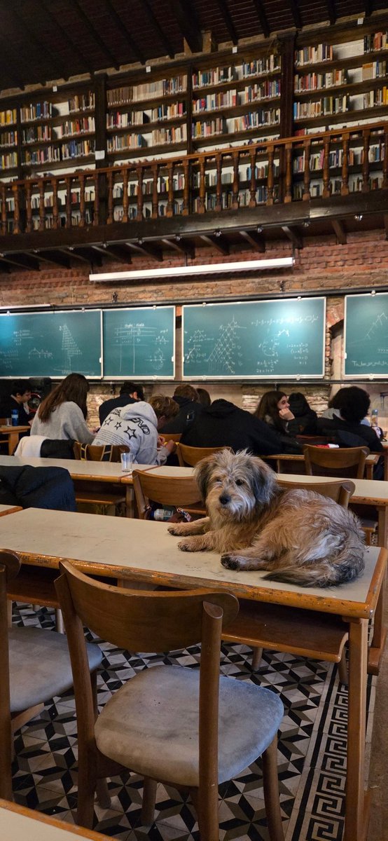 Nesin Matematik Ķöyü'nde Ali Nesin sayesinde düşünmek üzerine uzun uzun düşündük. Bir problemin çözümü ile ilgili sezgi sahibi olabiliriz ancak düşünmek,çözüm sistemi yaratmak, şans vermek, test etmek, karar vermek ve tekrar test etmek gerekliği ve üstüne keyfi=Anlam.
