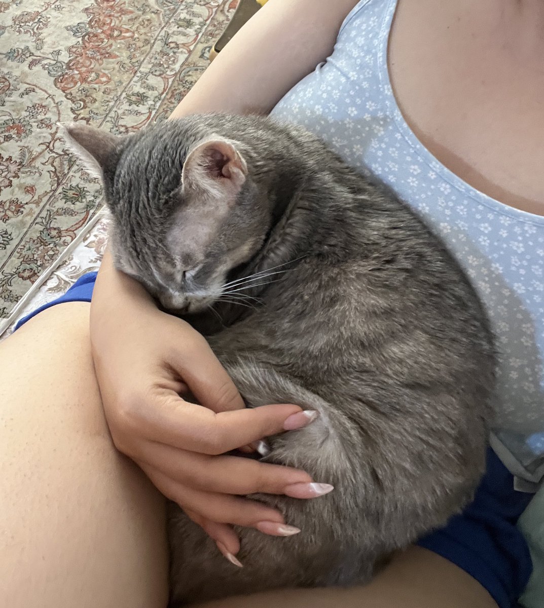 summer🐈 tweet media