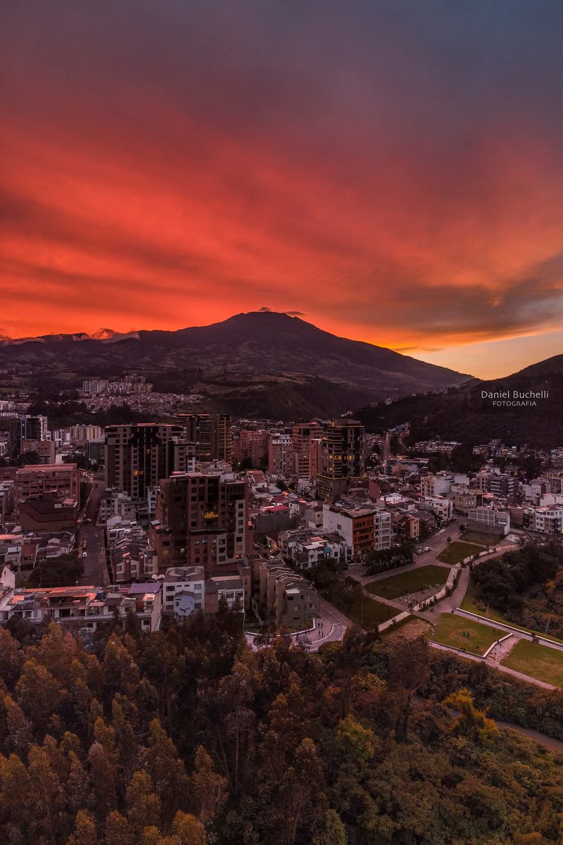 Pasto de mi vida, vos sos la alegría de mi corazón ❤️ 😍 

📷  Daniel Bucheli.
