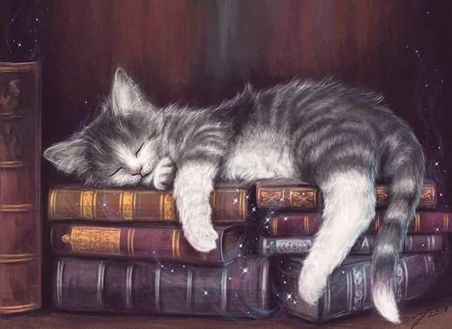 Paula Slade tweet media