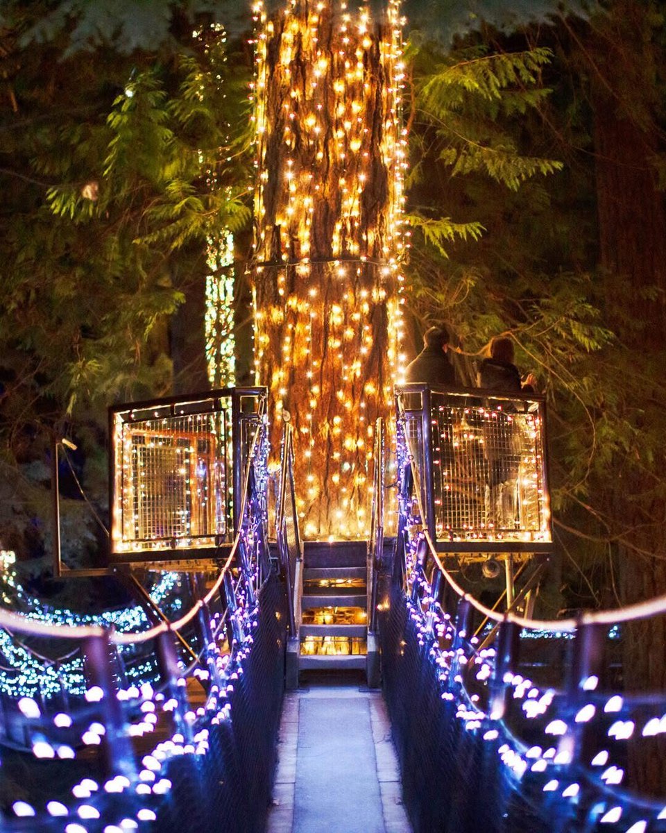 Step into the glow at <a href="/capbridge/">Capilano Suspension Bridge Park</a>✨

Watch Treetops Adventure come alive with hundreds of lights, wrapping each walkway in a warm winter sparkle. Open daily from 11 am to 9 pm until 18 January.

📸: IG/capilanosuspensionbridge

#CapBridge #FestiveLights