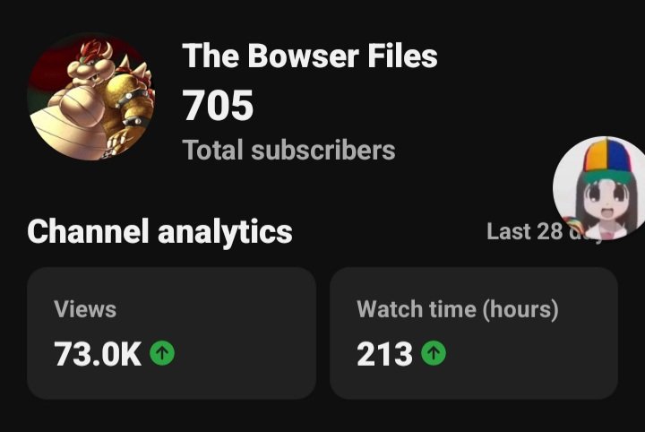 The Bowser Files (@TheBowserFiles) / Posts / X