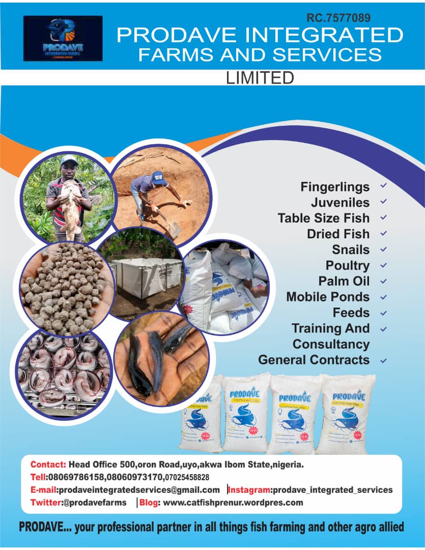 ProgressByron's tweet image. Whatsoever your hands find to do, do it well with excellence. Give it all your best.