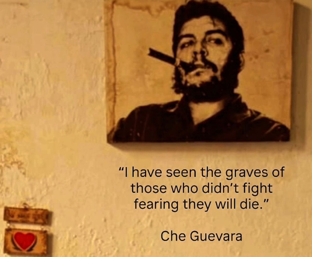 Dr Calipso tweet media