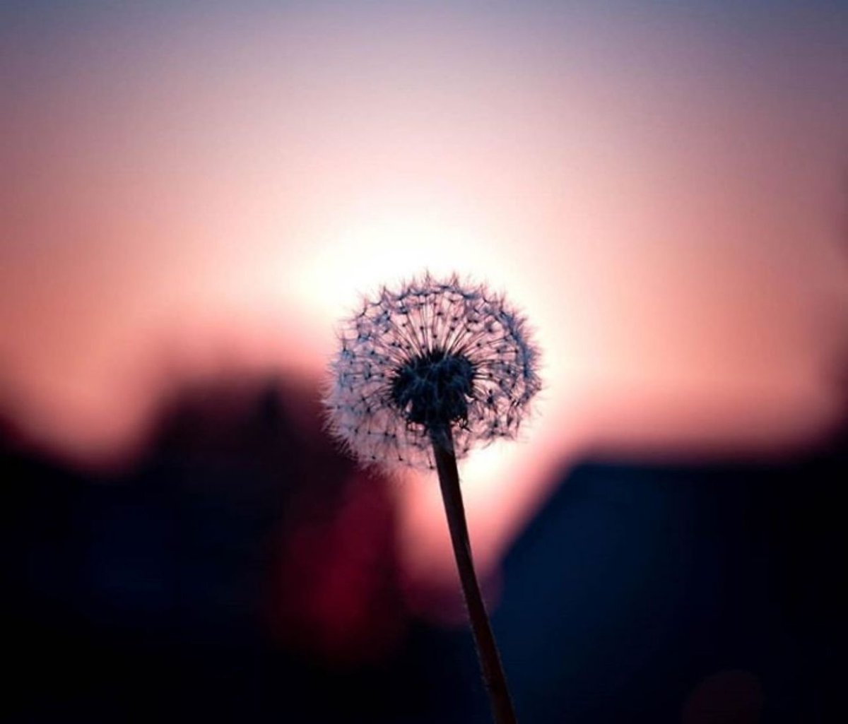 ــــــــــــ

وَأخجَل
مِن وَقتٍ لآ أذكُرُكَ فيه 
وأنتَ الغنيَُ عَن ذكرِيْ ،

لآ إلهَ إلّآ أنتَ سبْحآنك إنّي كُنتُ مِنَ الظآلِمينْ ... 🌧⇣

#يارب_اثر_لنا_ولوالدينا
ــــــــــــــ🍃📚🍃 ــــــــــــــــ