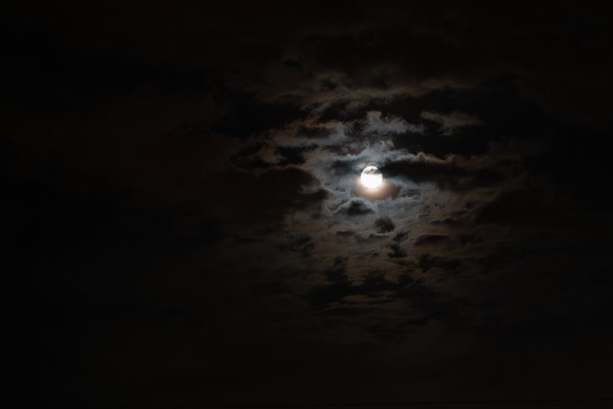 Lena_Firefox's tweet photo. The days are getting shorter and the nights are getting darker

#photography #nightcity #December https://t.co/qSmzr5y2YV