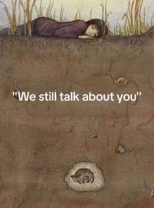 TweetsOfCats's tweet image. 