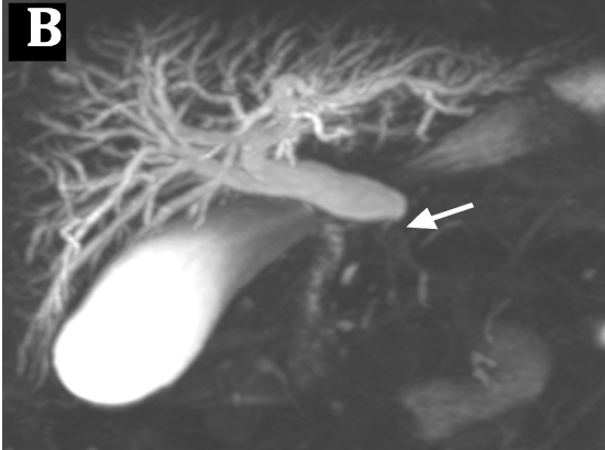 MedBlend tweet media