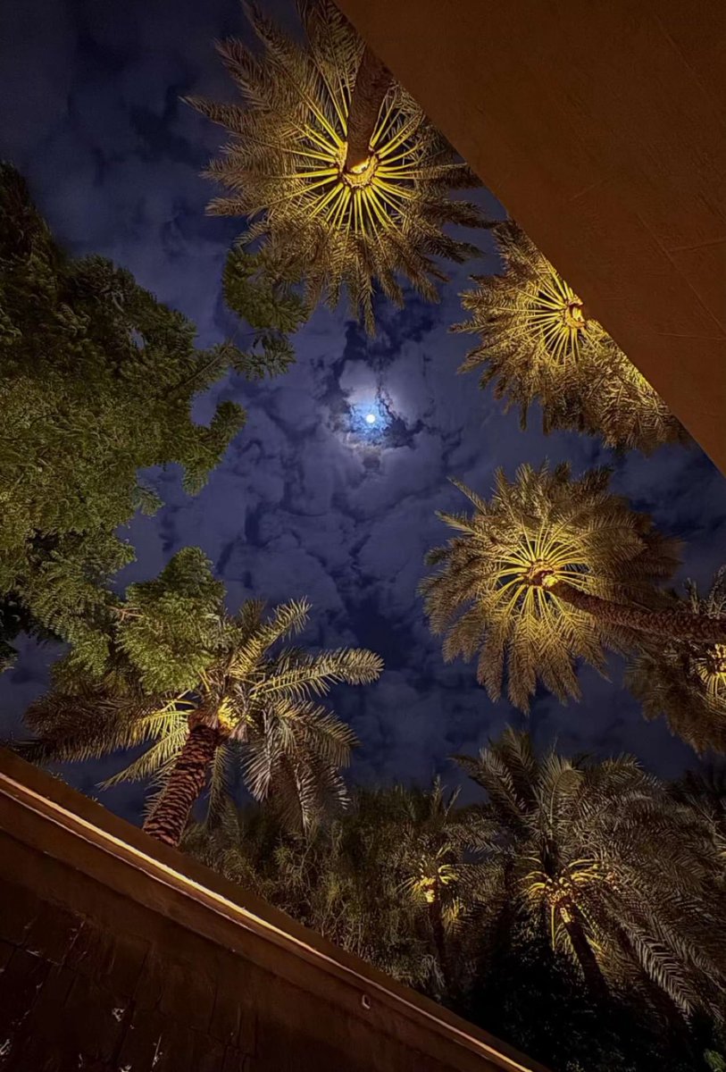 #مساء_الود_والورد
#الاجواء_الحلوة 
#جاسم_الصحيح
#عالم_يشبهك 

النخلُ صُلبي فما من نخلةٍ سقطتْ
إلا سمعتُ أنينَ الجذعِ في نُطَفي

تقاتلُ الريحُ ضدَّ الريحِ حاشدةً
سِربَ الطواحينِ في حربٍ على سَعَفي