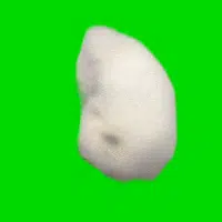 Rug_Defender's tweet photo. spindog on chinese tiktok

- 3.2m likes in 1 day, replies filled with memes and 50m views on the post
https://t.co/KZo2xLvgro https://t.co/kbinK0C4cI