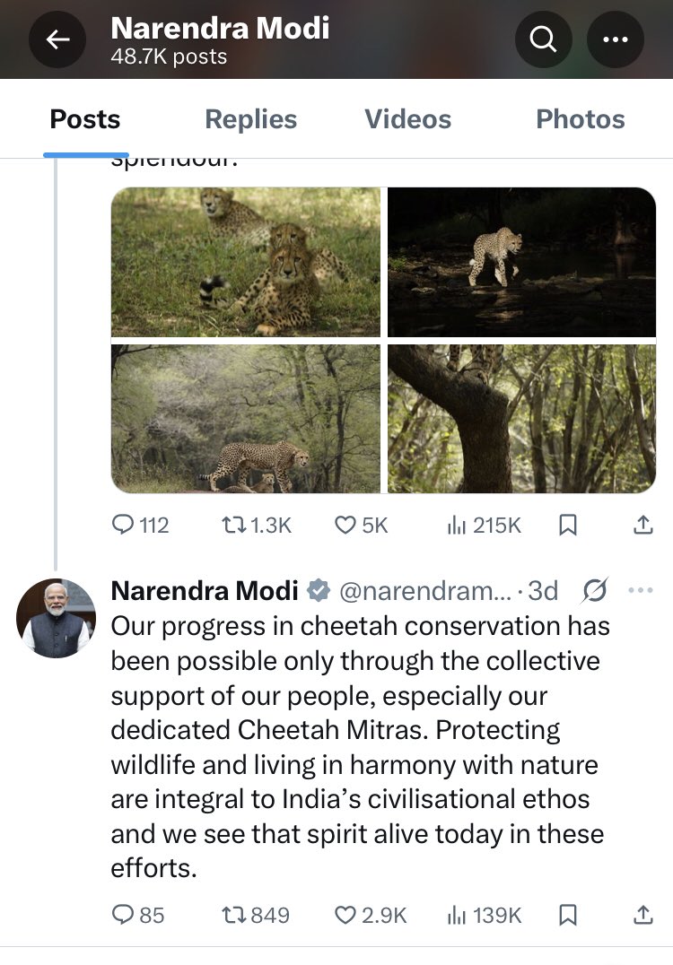 One cub was released on #WorldCheetahDay. @pmmodi was proud of cheetah conservation. It died next day but no media coverage . It took 2 nd cubs death to get some light #CheetahConversation to the extend the death is hidden for 2 days