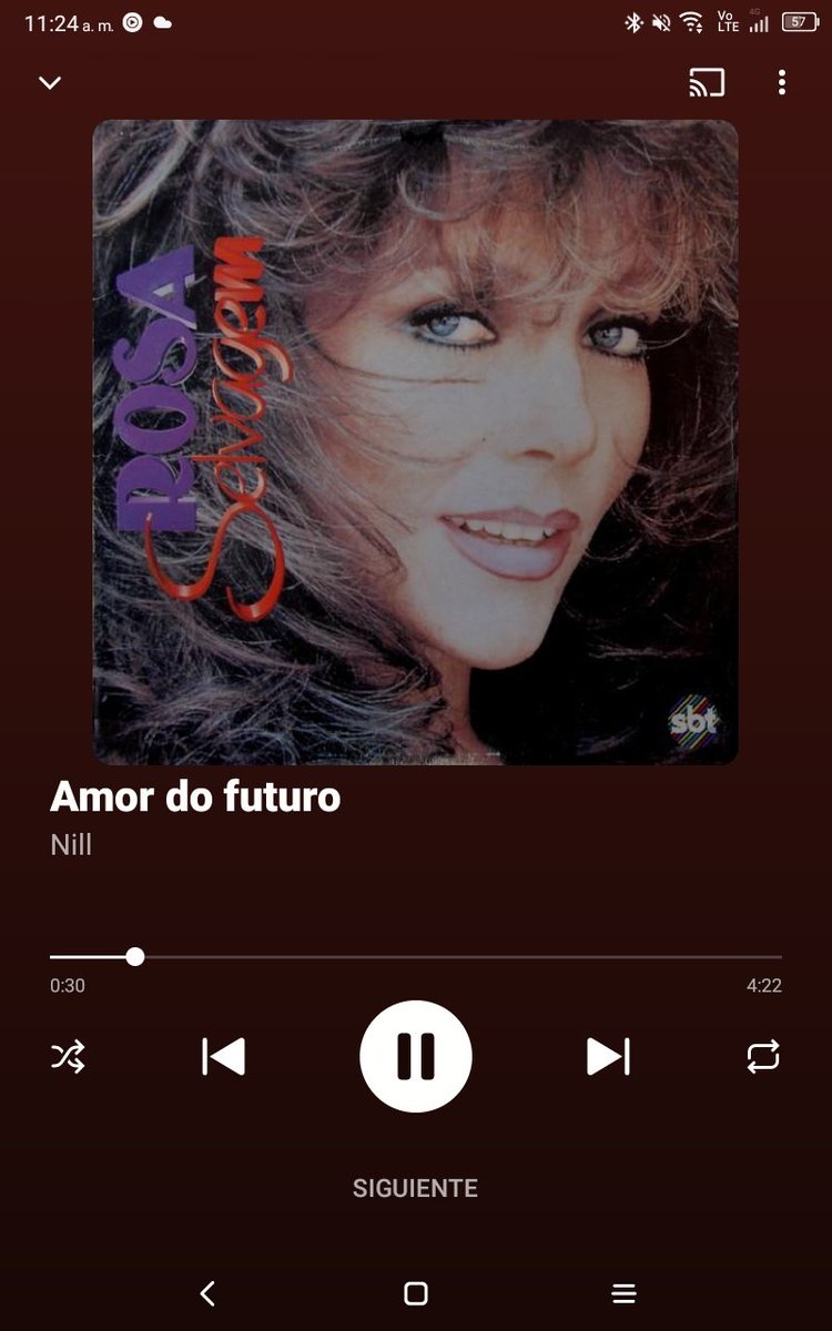 rosa selvagem un disco genial inspirado en la telenovela #rosasalvaje de <a href="/vrocastroficial/">Verónica Castro</a> . #rosaselvgem cvalda 🥰 amor do futuro de nill !!!