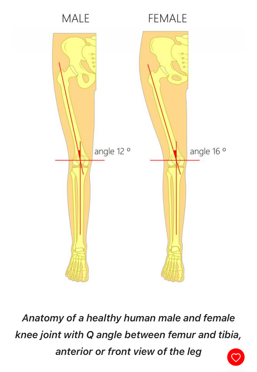 NicoleeO tweet media