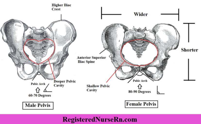 NicoleeO tweet media