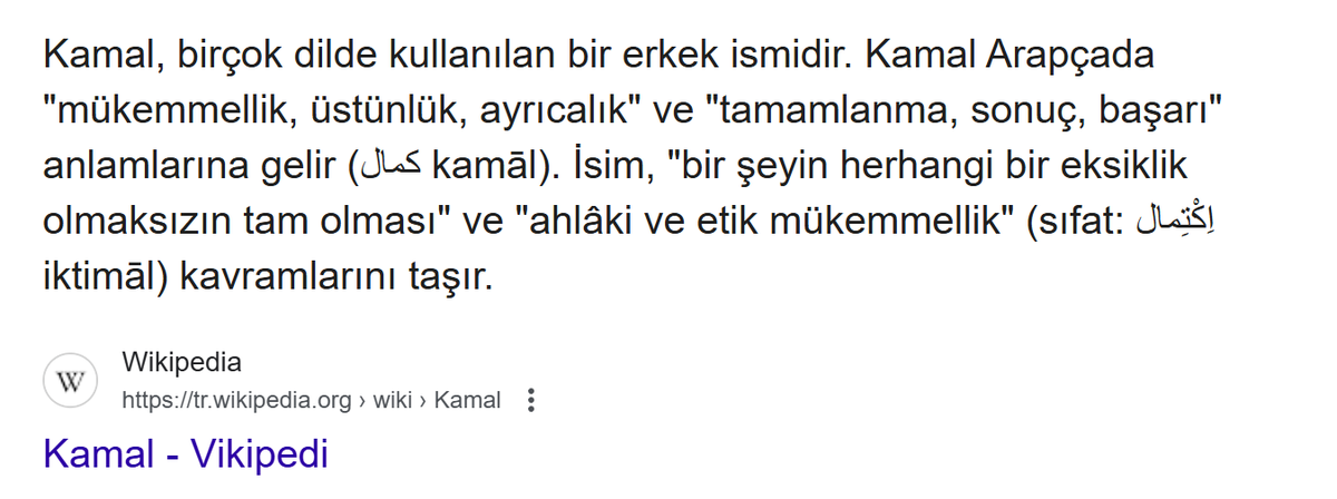 sahinsu's tweet photo. @YusufElmas @EmniyetGM @TC_icisleri @AliYerlikaya Aslında Atatürk'ü yüceltmek isteyip de Türkçesi olmadığından yanlış mı anlaşılıyor acaba. Çünkü tavır meczupla komedyen arası bir yerde https://t.co/xH3MNVY2Wa