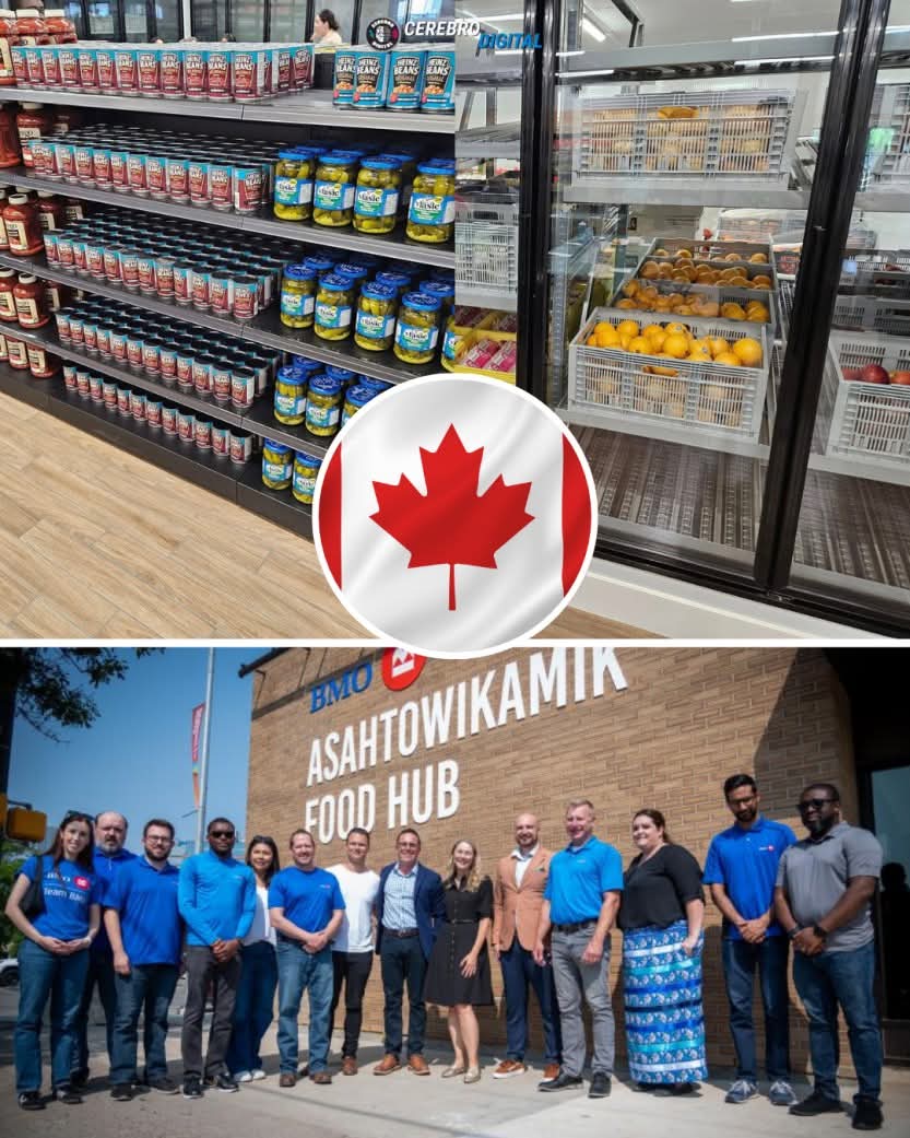 En Canadá se acaba de abrir el primer supermercado gratuito, cada 2 semanas puedes obtener productos que sumen en su totalidad 200 dll.
El capitalismo ha tenido que utilizar políticas asistencialistas para poder sobrevivir, aún así, esto no es socialismo.