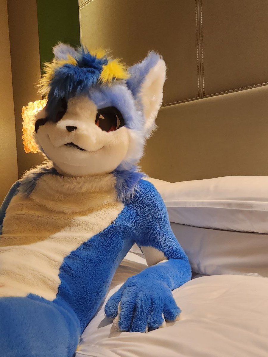 🇹🇼B. Cat⏩🇯🇵✧(순_순) tweet media