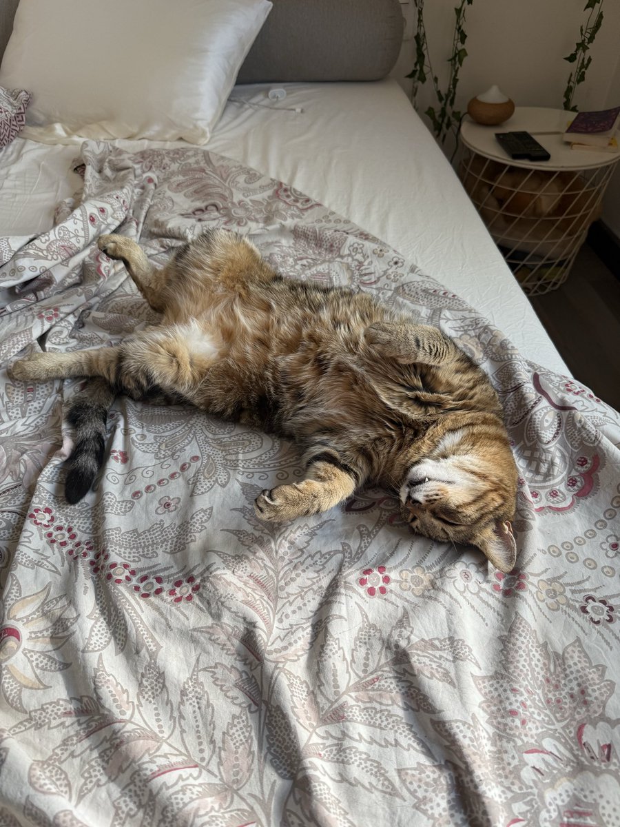 Ayaka 🌷 tweet media