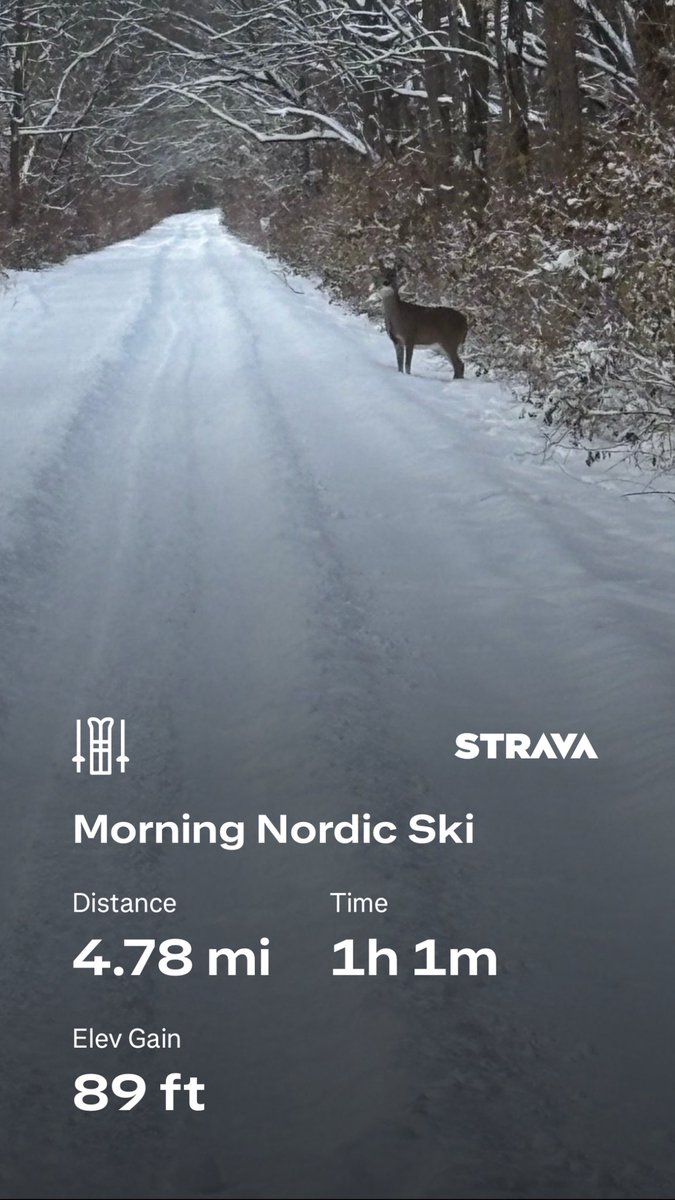 Beautiful day for an XC ski!  Scenic and peaceful!  Saw several deer and a coyote too!