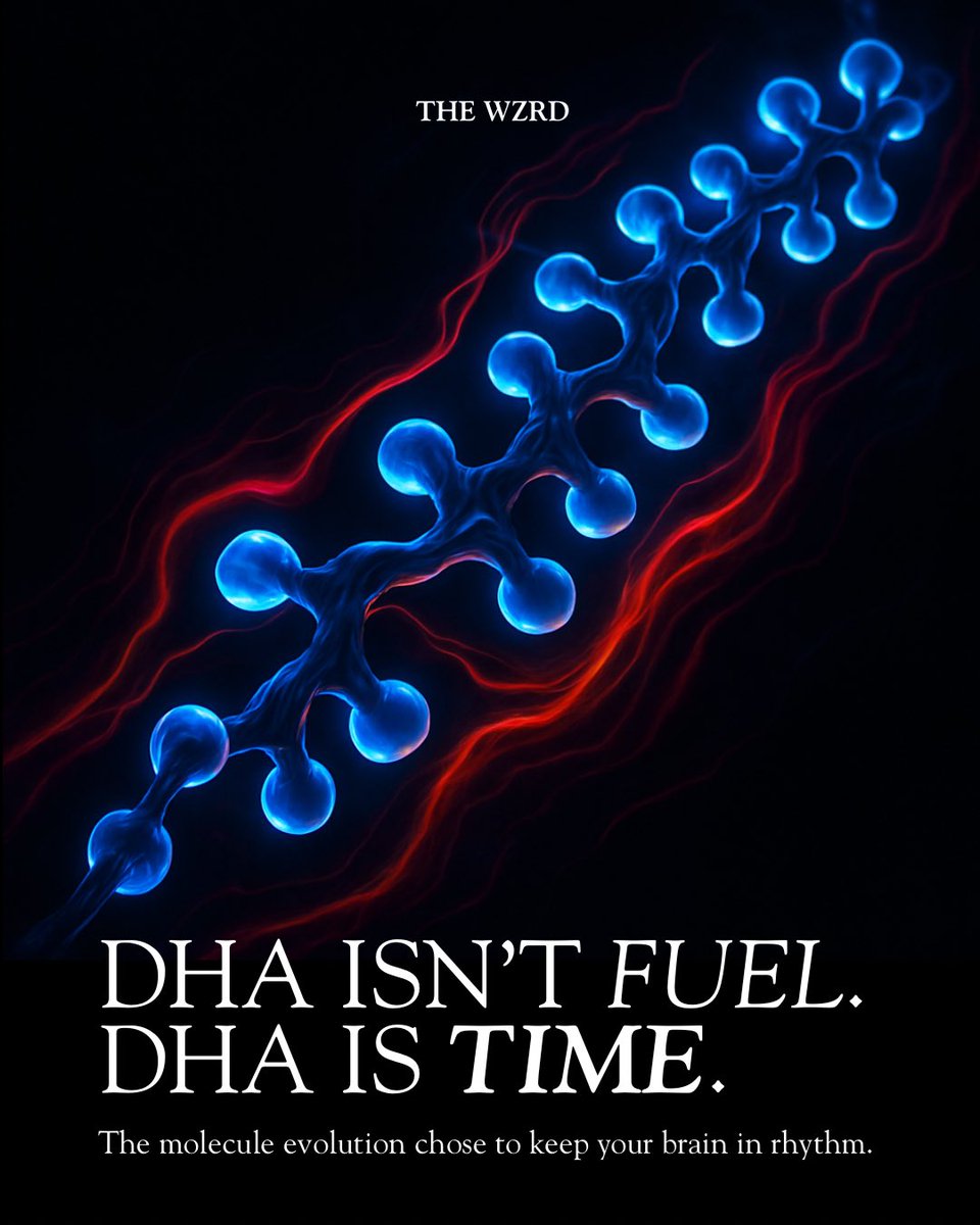 Yungkingmito tweet media