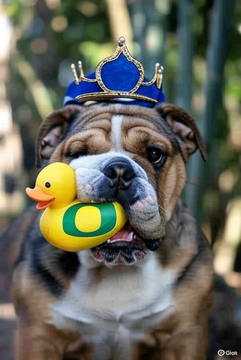 Alex Rodriguez tweet media