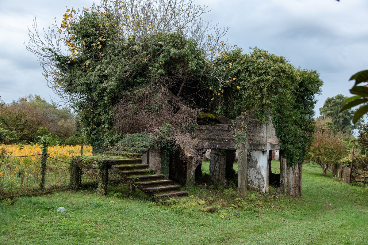 Амбассадор счастья tweet media