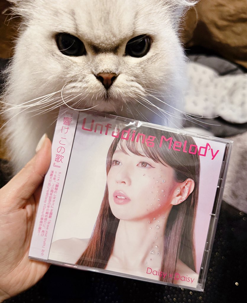 Daisy×Daisy staff (@DaisyxDaisyinfo) / Posts / X