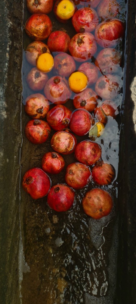 Kendimi iran sineması içindeymişim gibi hissettiren günün detayları