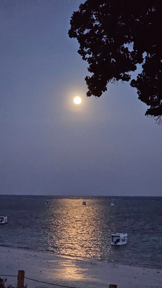 Moonlit magic over Diani.
#DestinationDiani