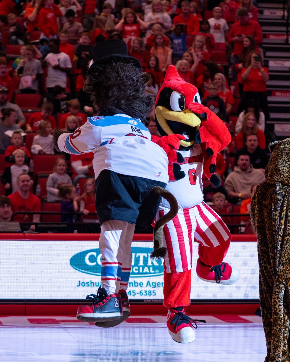 Reggie Redbird tweet media