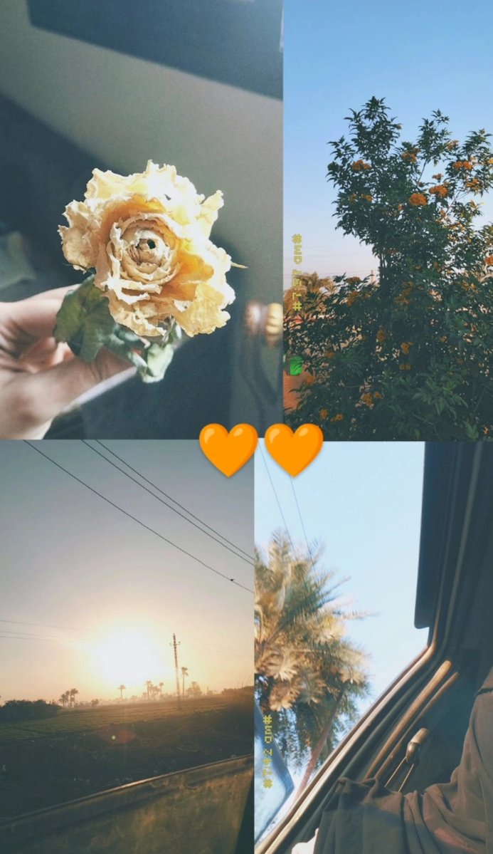 “كيف يستطيع الإنسان أن ينجو من نفسِه، من حيرته في الحياة التي لا يستطيع عيشَها وهو يجمع بين قلبِ الطفلِ وعقلِ المُسِنّ، من عدم فقدانه الأمل رغم تكرار خيبةِ المسعى، من خوفِه أن يمضيَ وتظلَّ عيناه علىٰ ما تركَه!“