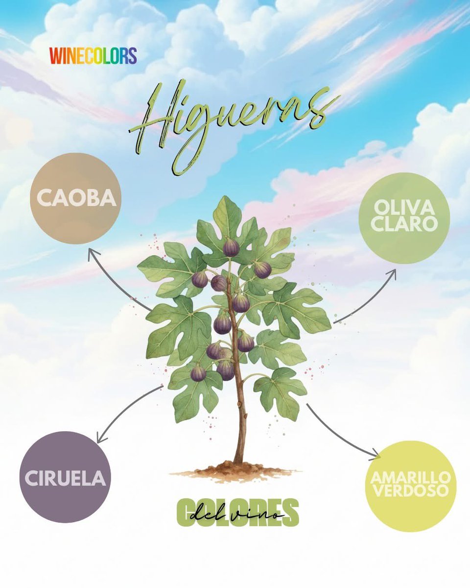 Colores del Vino Inspirados en la Naturaleza 🍷🌈
La Higuera nos regala una inspiración cromática fascinante para describir los matices que encontramos en nuestras copas. 
¿Identificas estos colores en tu vino favorito?🥰🍇
