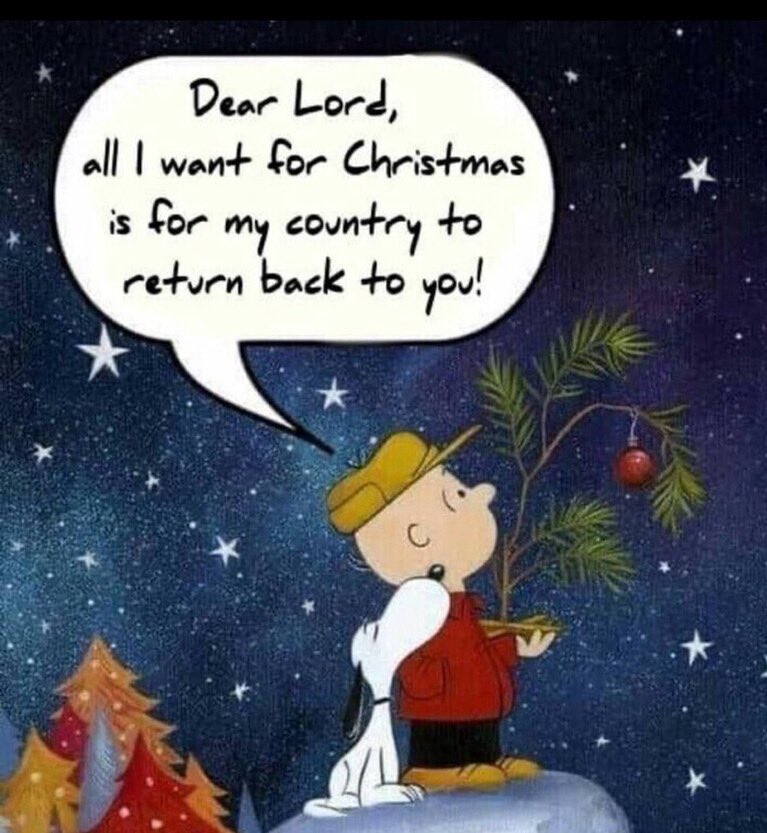 MaggieWise ⭐️⭐️⭐️ (@maggiewise111) on Twitter photo 