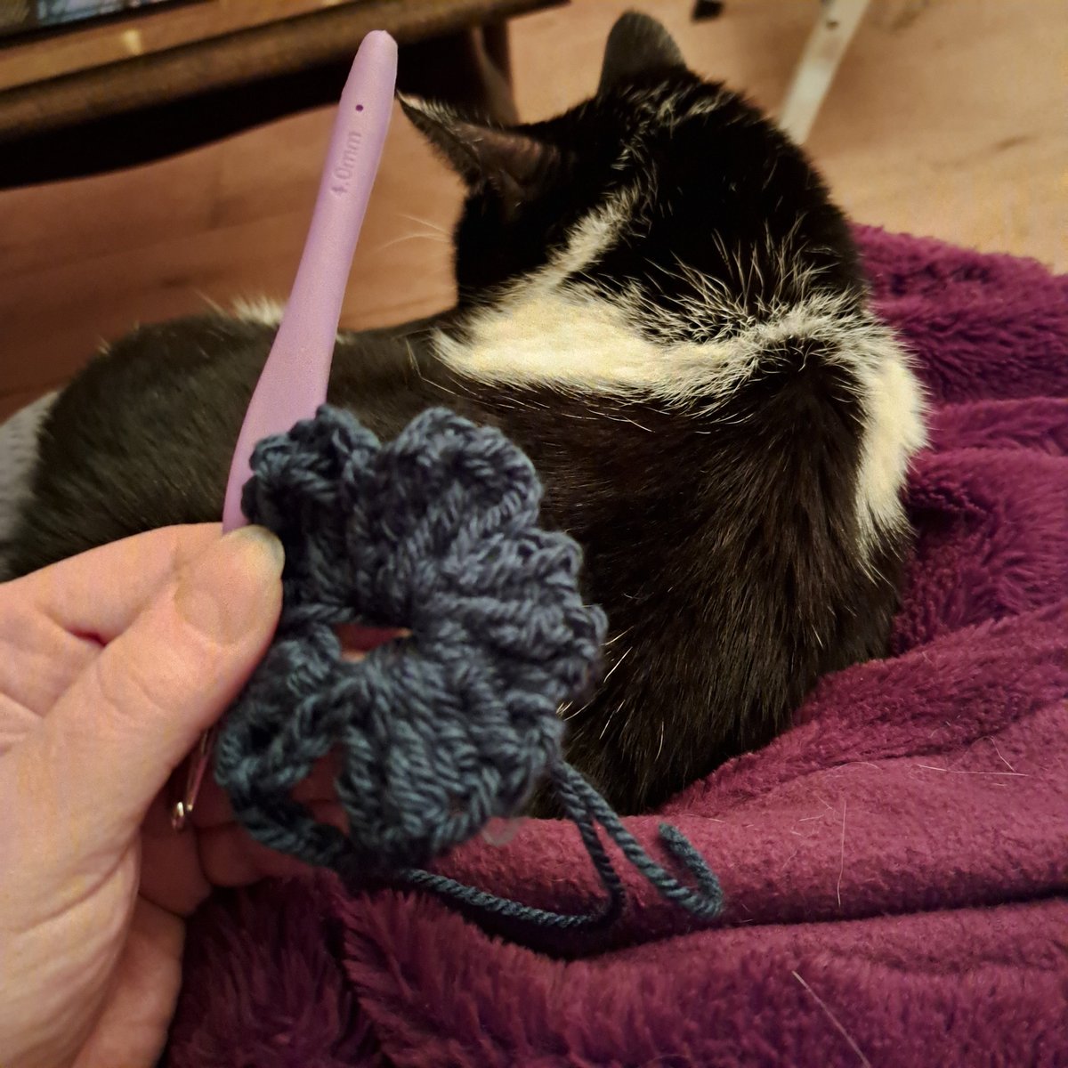 Eerste stapjes op het haakpad, deel II. 🙃

Poging om een bloemetje te haken. Iemand anders doet dat in 5 minuten. 🌸

Ik deed er een half uur over...

Volgens mij bestaat deze bloemsoort niet eens. 😂

Maar ja. Blijven proberen.

Milly vind het wel best en slaapt gewoon door. 😸