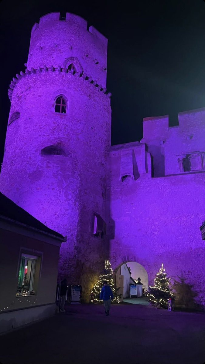 F.Redl 🇦🇹 (@oberstf_redl) on Twitter photo 